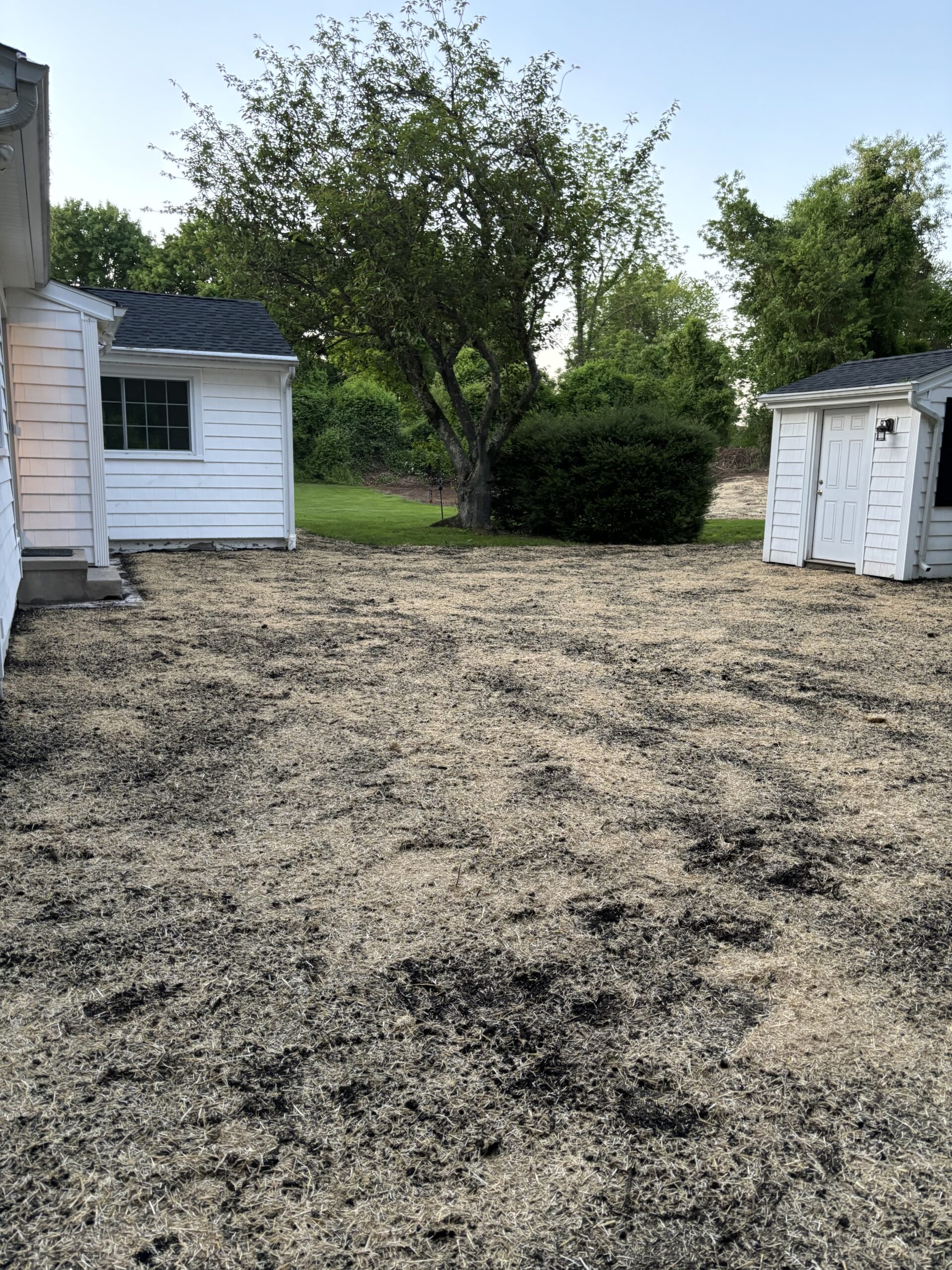 backyard dirt area after pool removal with fresh topsoil - grass seed and hay spread on surface of raked topsoil