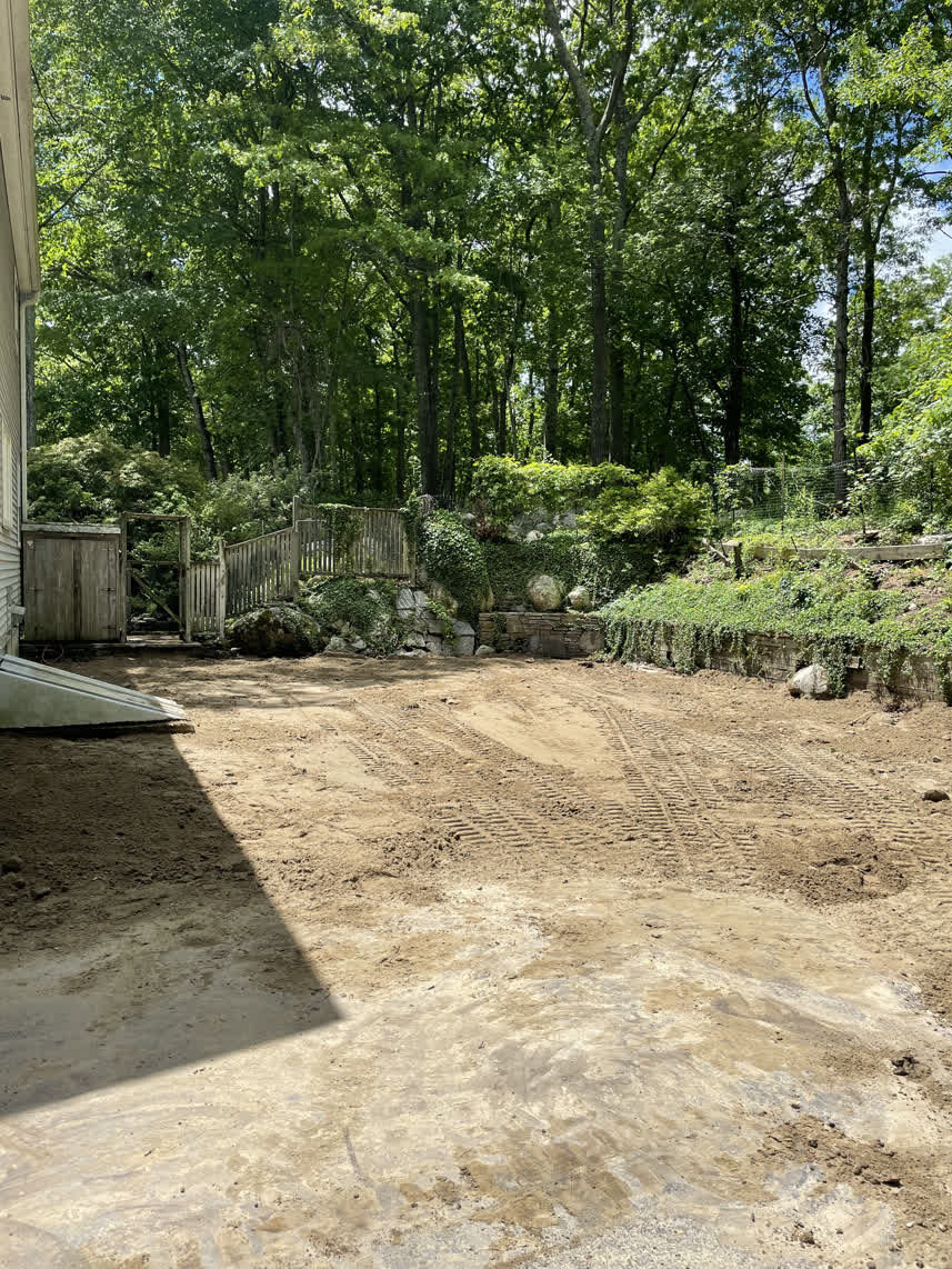 An image of how much more space there is in this backyard after pool removal.