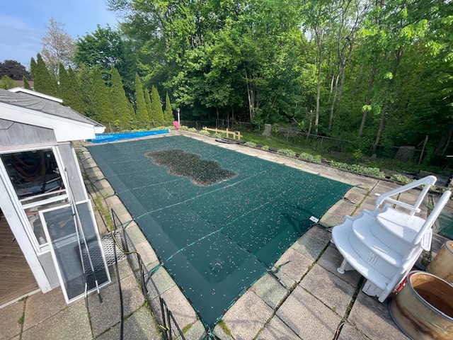 A backyard pool covered with a green tarp, surrounded by trees and various outdoor furniture.